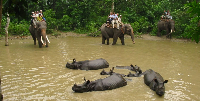 Chitwan Wildlife Activities